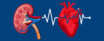 Cardio Renal Issues
